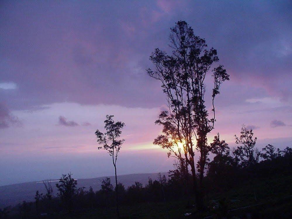 Mango Sunset Bnb Inn At Lyman Organic Kona Coffee Farms Kalaoa Exteriör bild